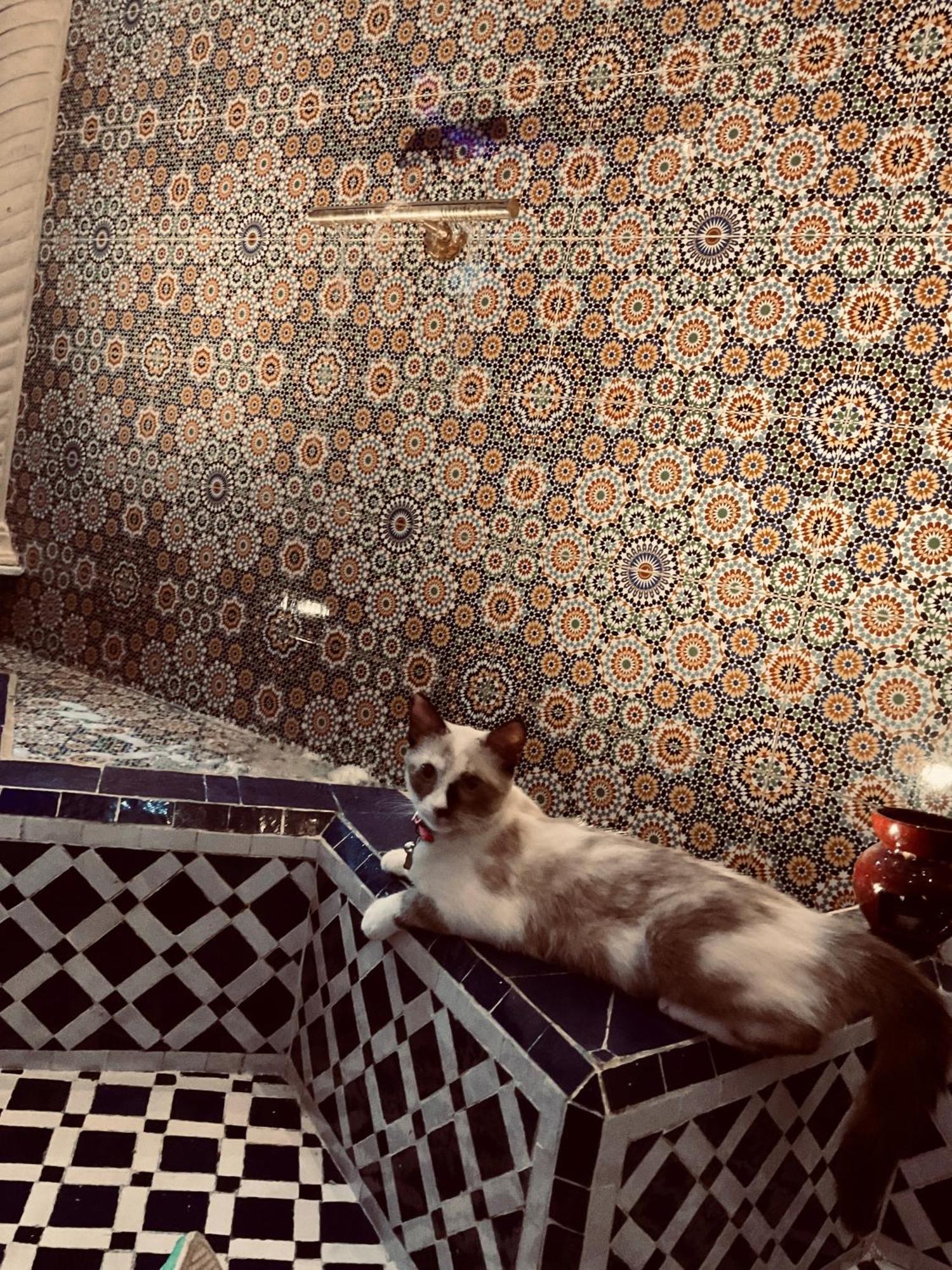 Riad Lalla Merieme Марракеш Екстер'єр фото